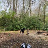 Review photo of Black Rock Mountain State Park Campground by Elizabeth G., June 23, 2020