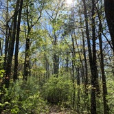 Review photo of Black Rock Mountain State Park Campground by Elizabeth G., June 23, 2020