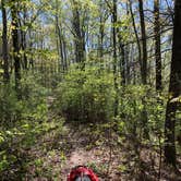 Review photo of Black Rock Mountain State Park Campground by Elizabeth G., June 23, 2020