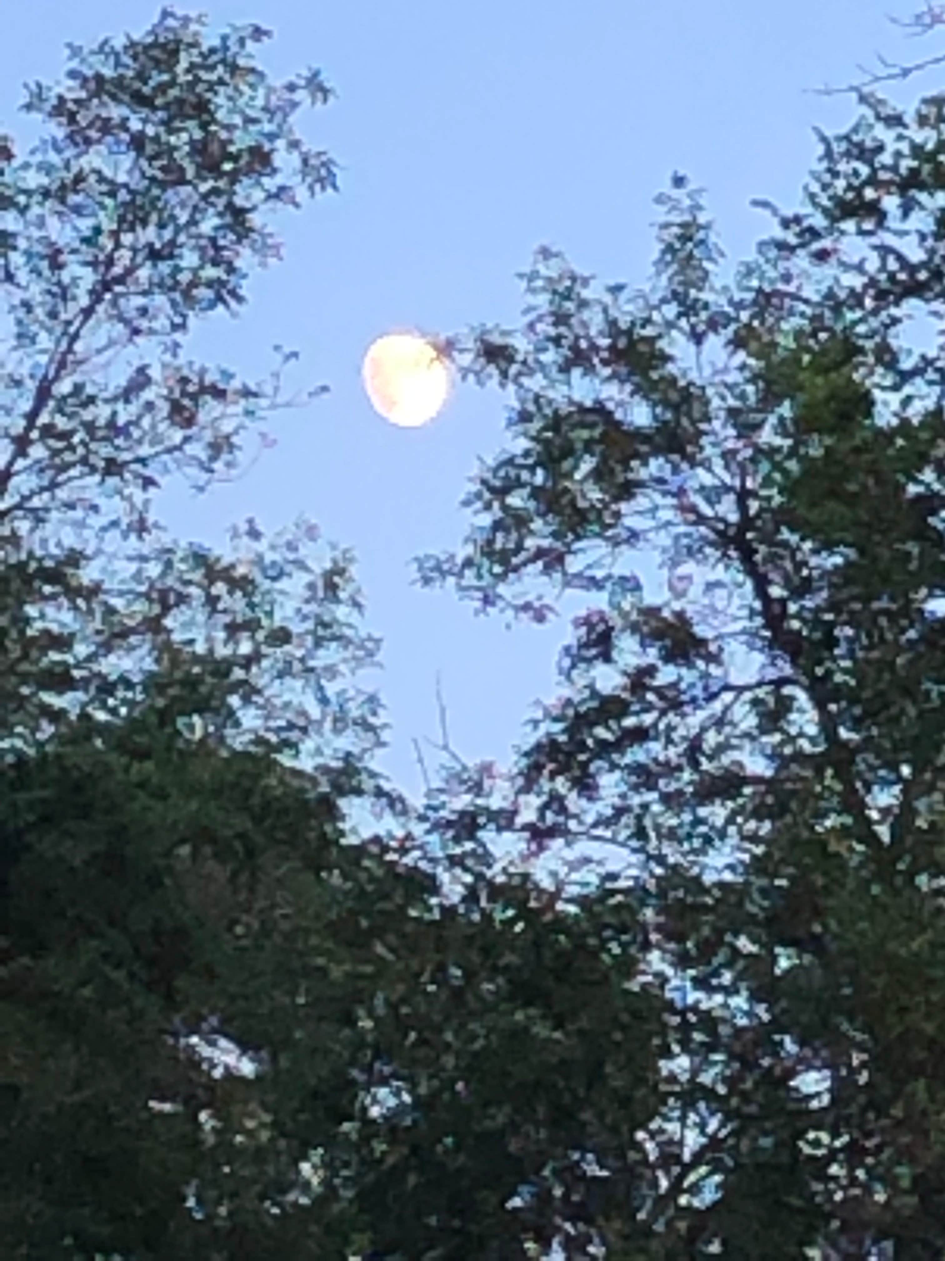 Camper-submitted photo at Campground 2 — Oakwood Lakes State Park near Arlington, SD