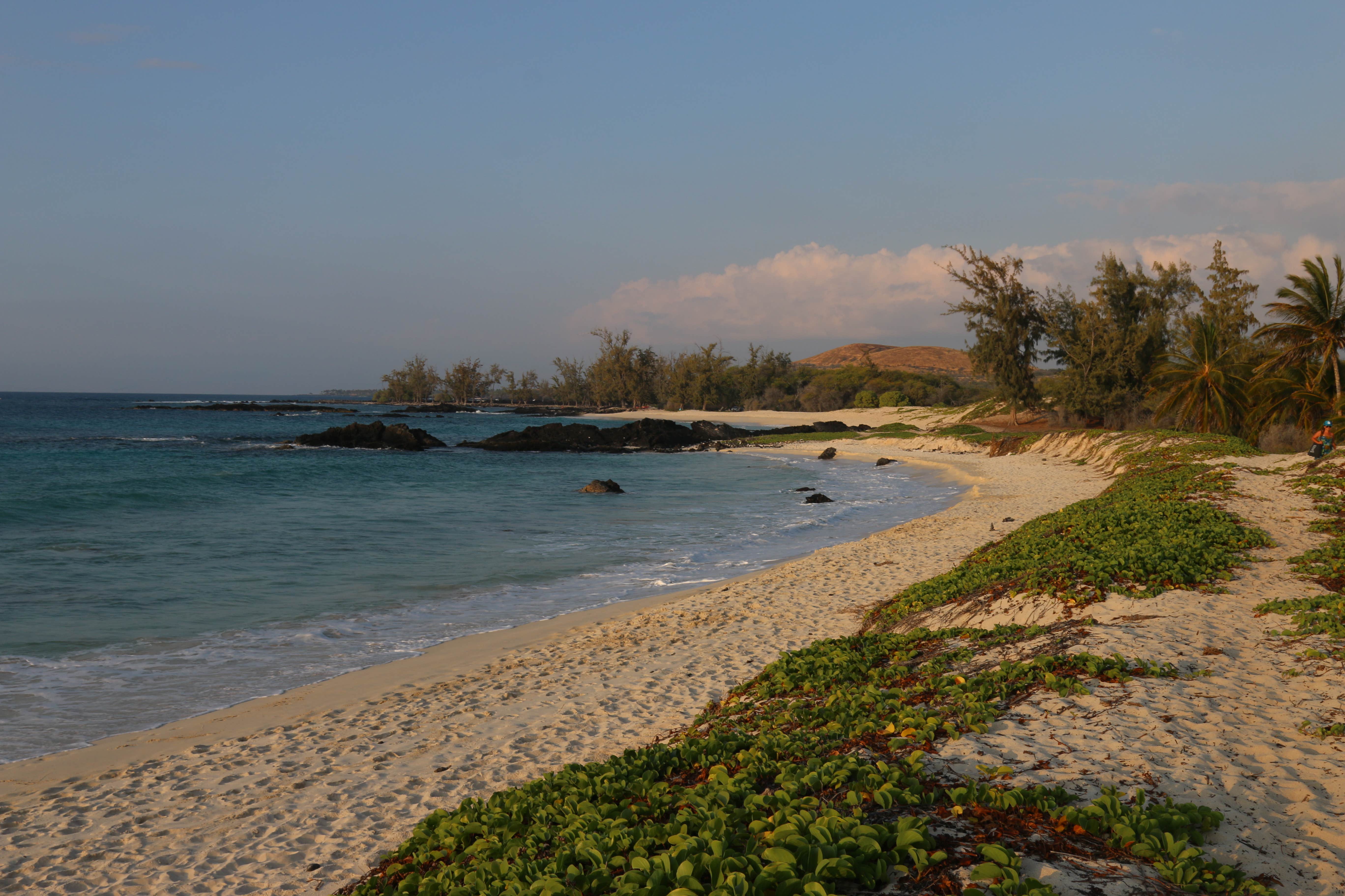 Camper submitted image from Spencer Beach Park - 2