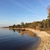 Review photo of Carolina Beach State Park Campground by Angel K., July 2, 2016