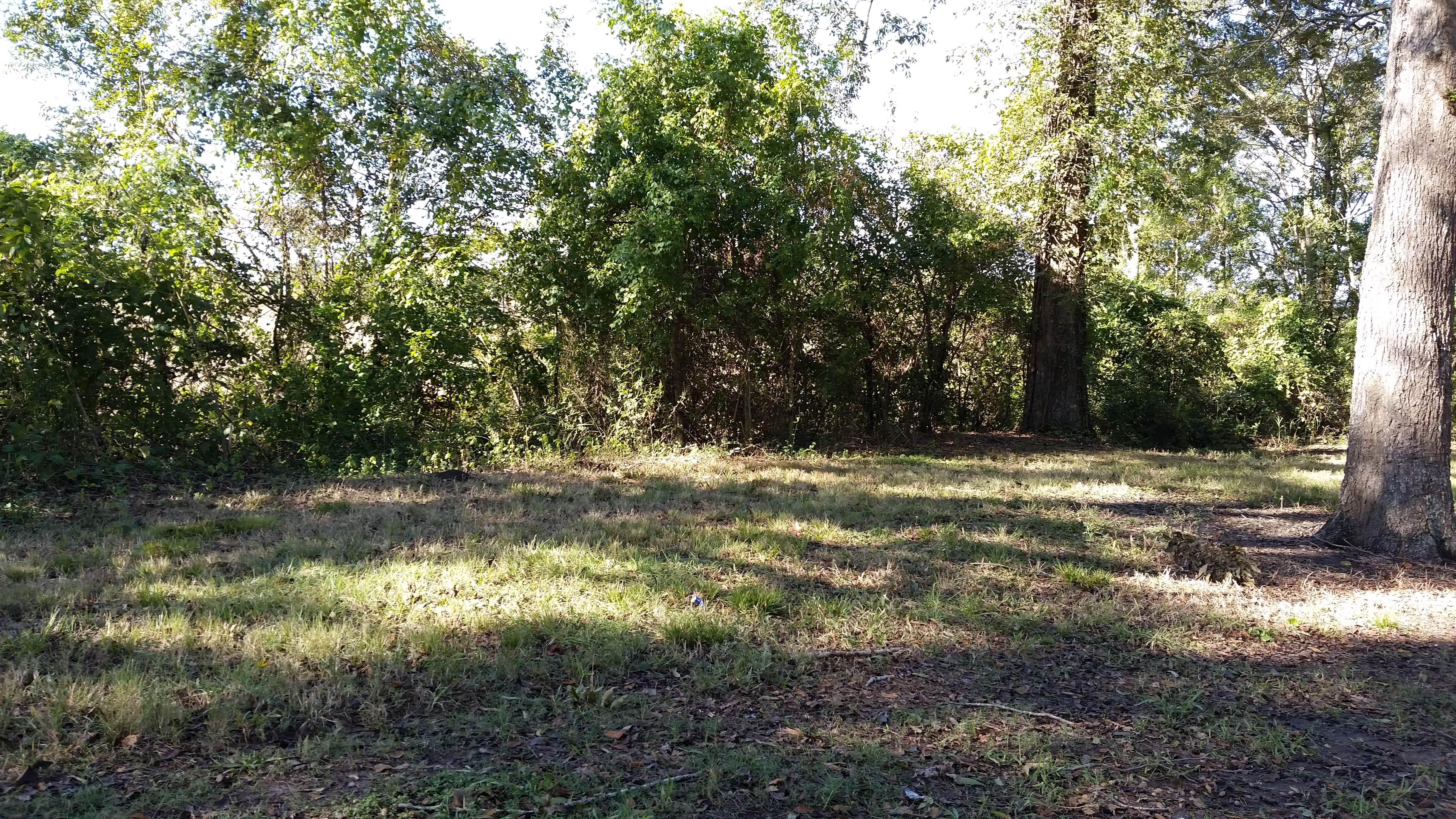 Camper-submitted photo at Richard K. Yancy Sand Levee Campground near St. Francisville, LA