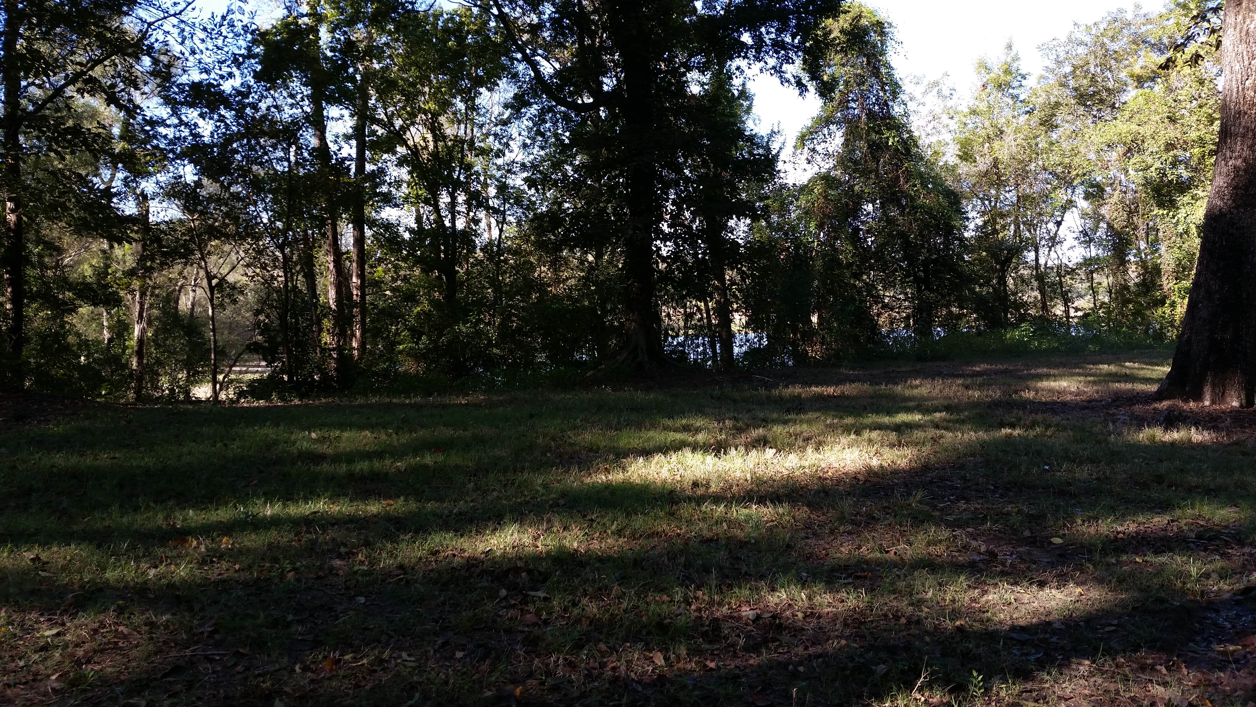 Camper submitted image from Richard K. Yancy Sand Levee Campground - 2