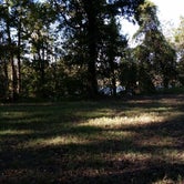 Review photo of Richard K. Yancy Sand Levee Campground by Paula W., October 30, 2017