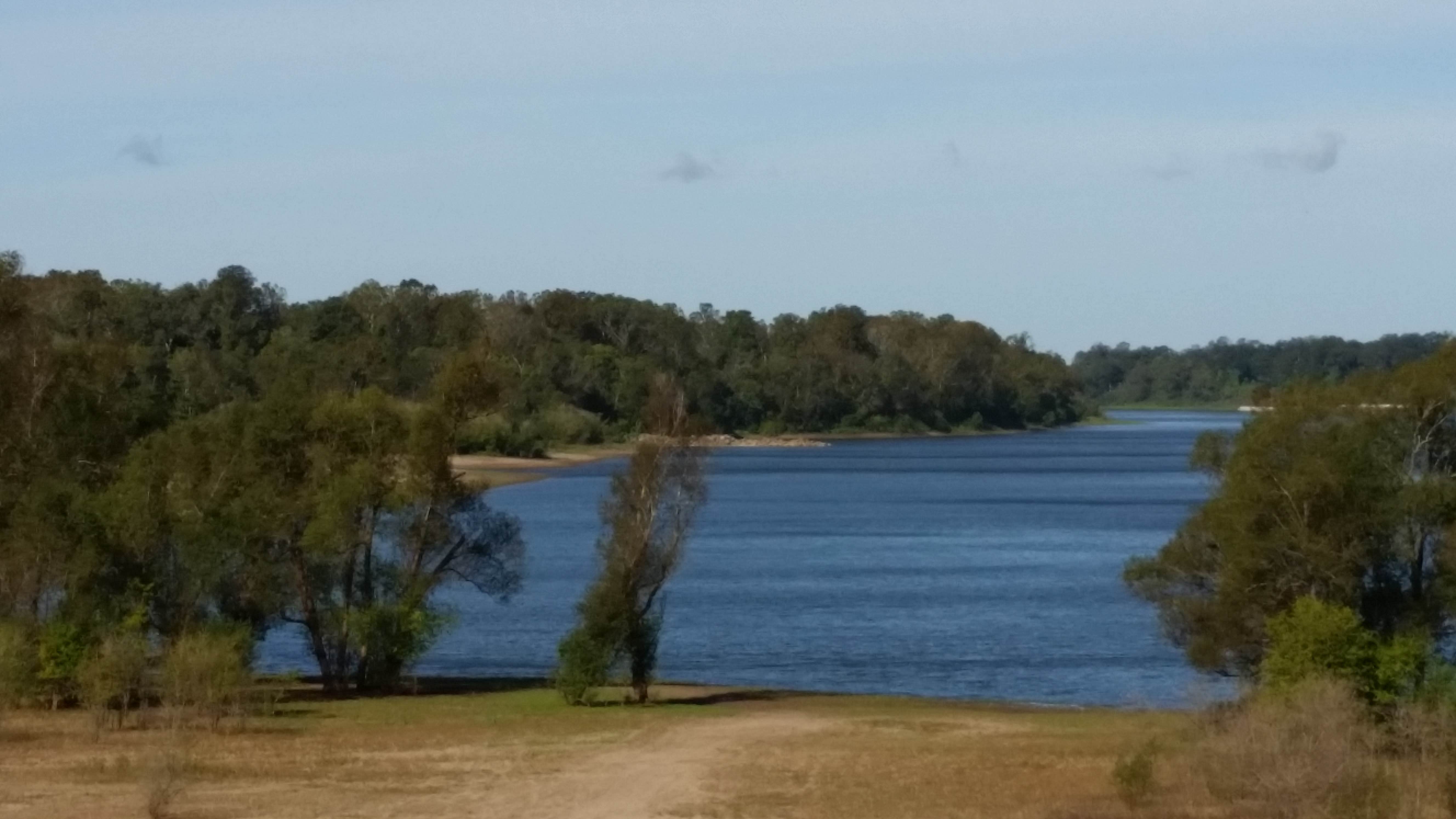 Camper submitted image from Richard K. Yancy Sand Levee Campground - 5
