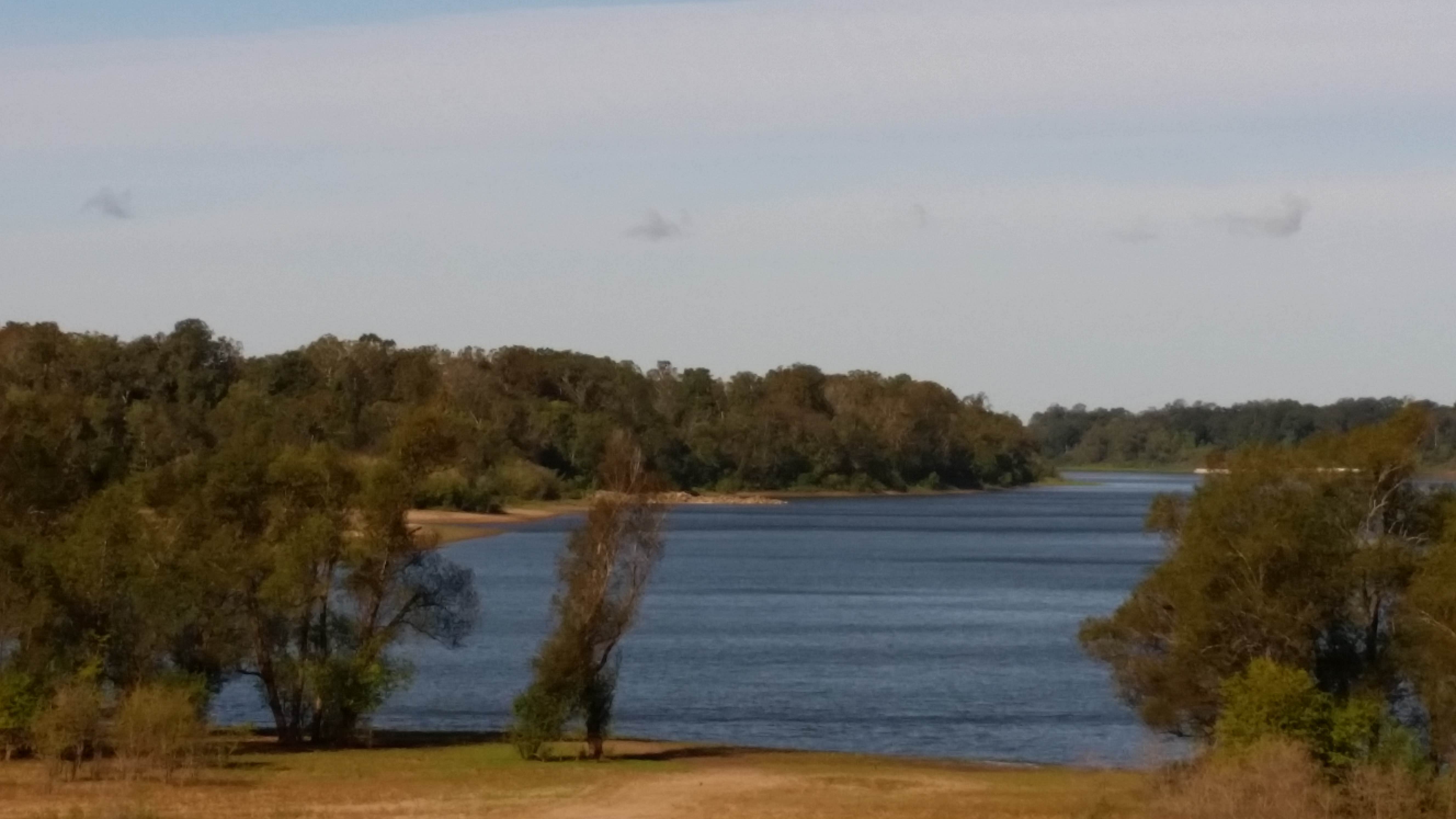 Camper-submitted photo at Richard K. Yancy Sand Levee Campground near St. Francisville, LA