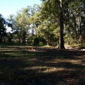Review photo of Richard K. Yancy Sand Levee Campground by Paula W., October 30, 2017
