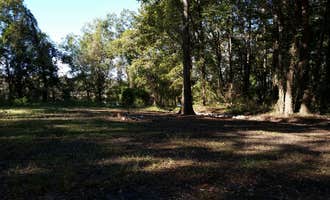 Camping near Spring Bayou Wildlife Management Area Campground: Richard K. Yancy Sand Levee Campground, Lettsworth, Louisiana