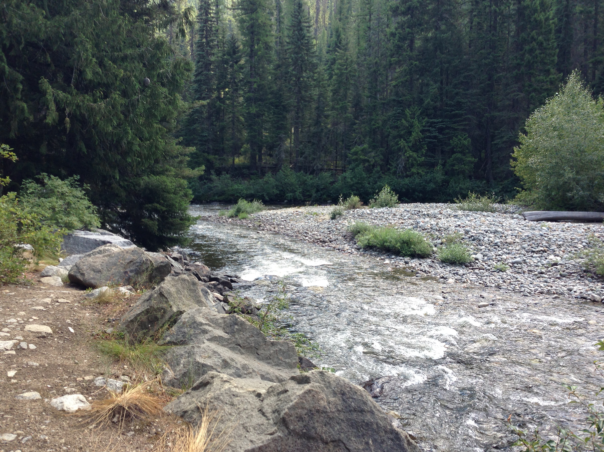 Camper submitted image from Ida Creek Campground - 3