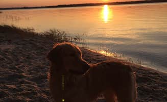 Angel K.'s photo of camping with pets at Carolina Beach State Park Campground near Castle Hayne, NC