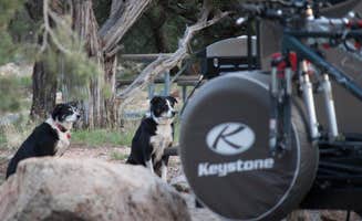 Tara S.'s photo of camping with pets at Desert View Campground — Grand Canyon National Park near Cameron, AZ