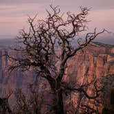Review photo of Desert View Campground — Grand Canyon National Park by Tara S., October 30, 2017
