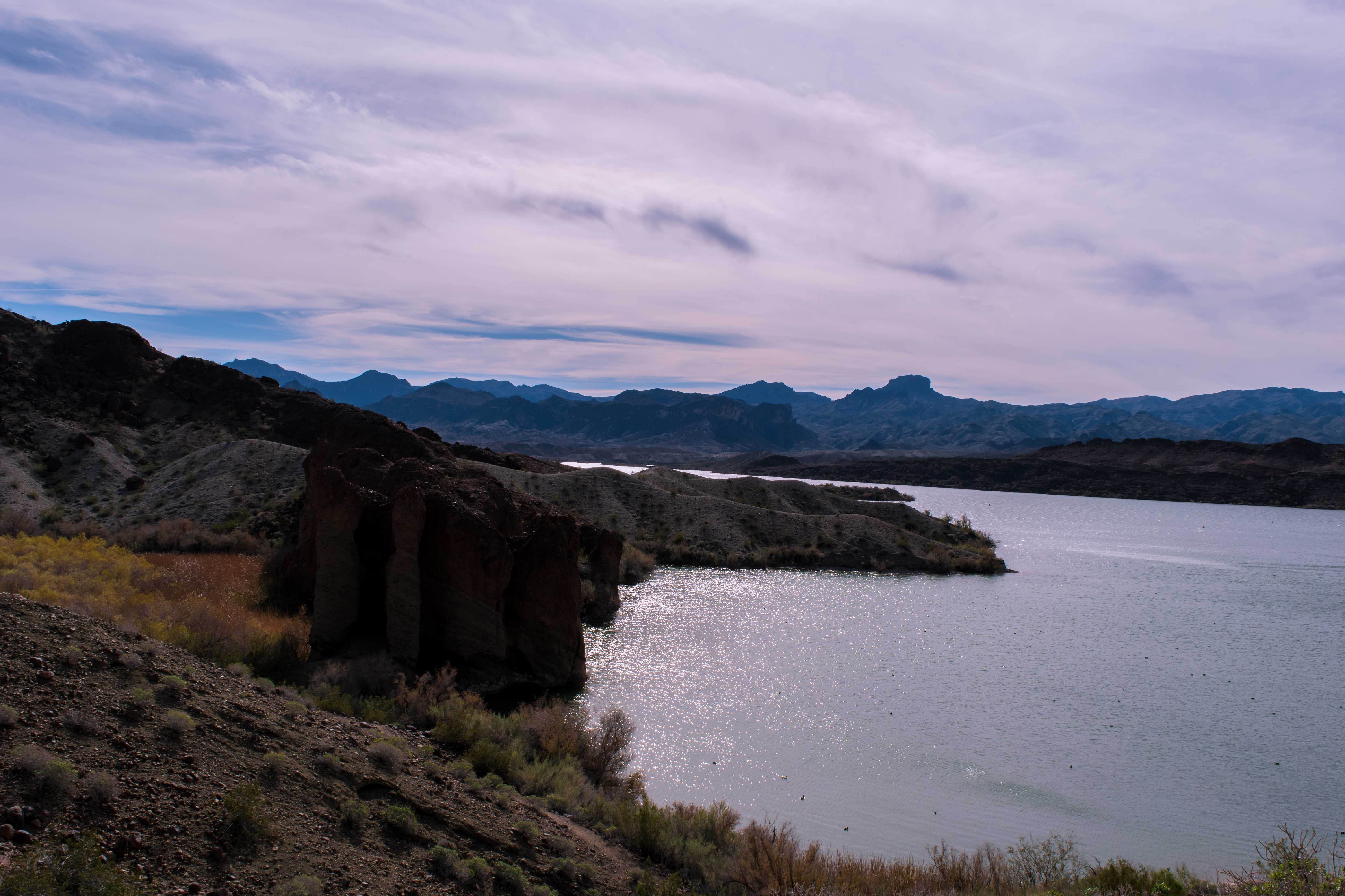 Camper submitted image from Lake Havasu State Park Campground - 2