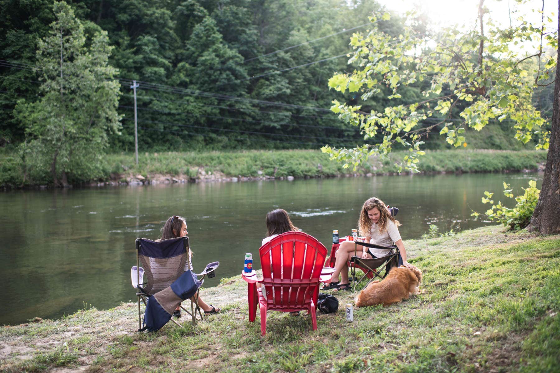 Camper submitted image from Rusty's Roost River Camp - 5