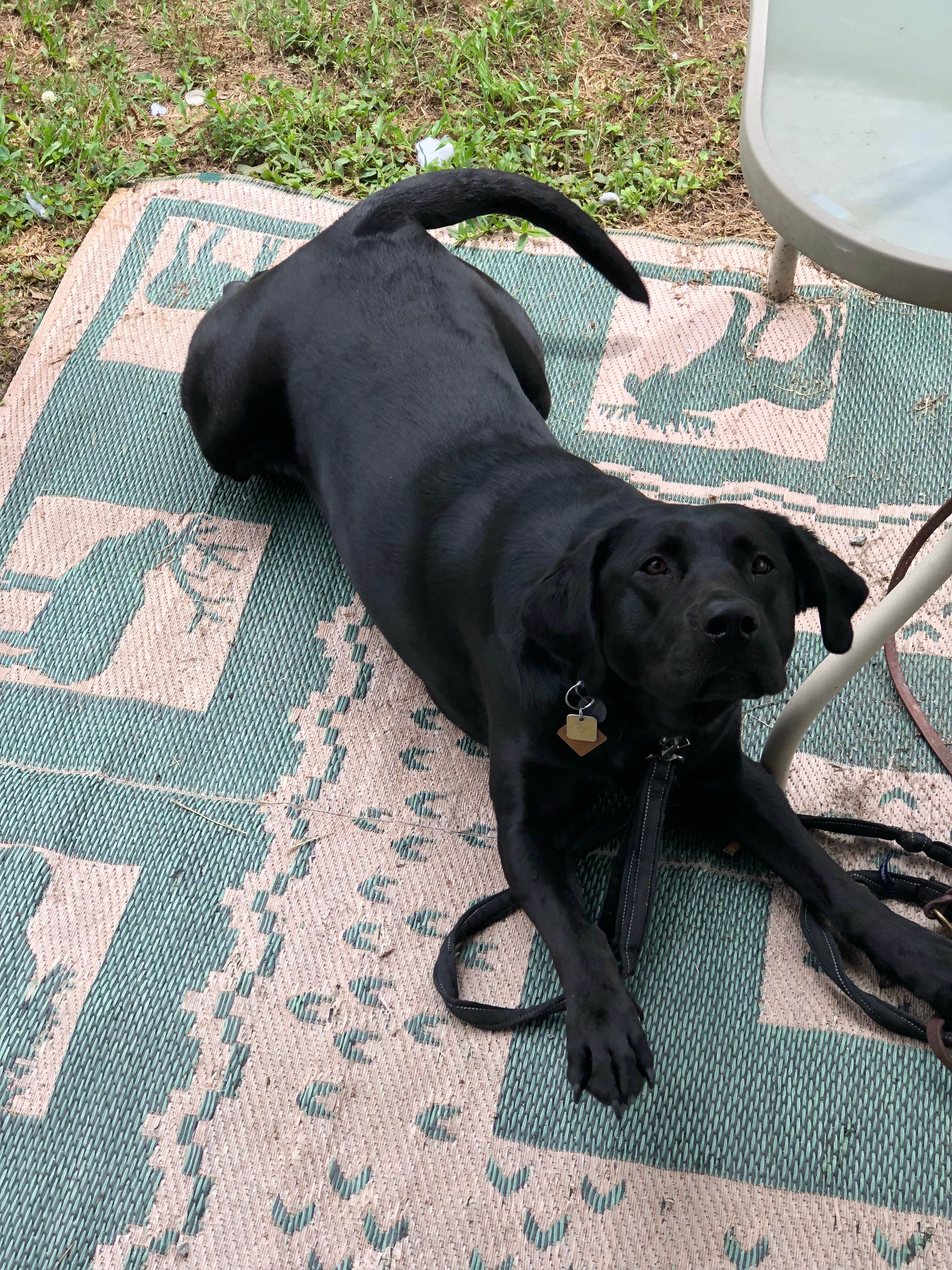 Camper-submitted photo at Jones RV Park near Marietta, GA