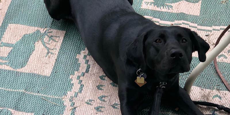 Camper submitted image from Jones RV Park