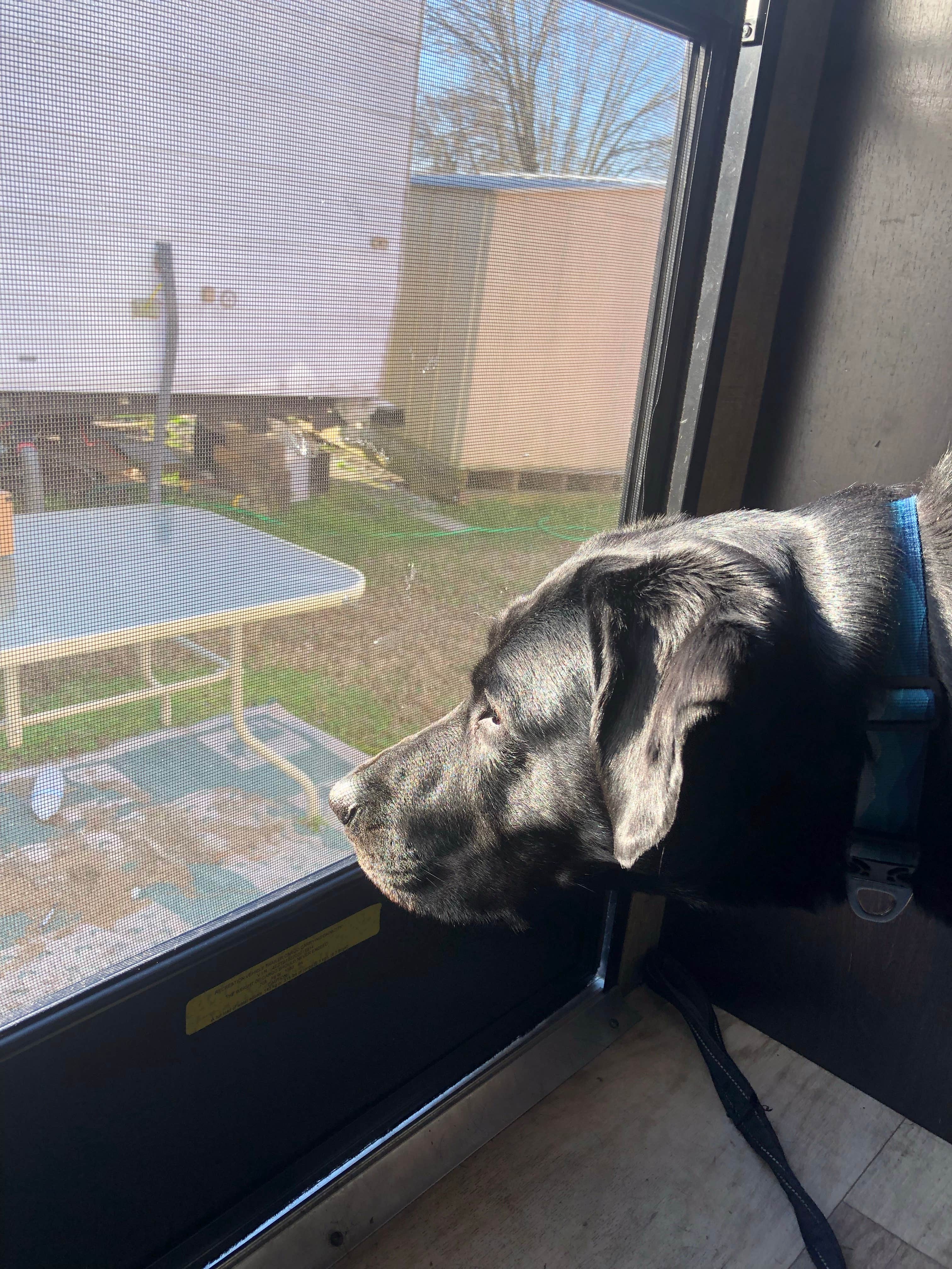 Camper-submitted photo at Jones RV Park near Marietta, GA