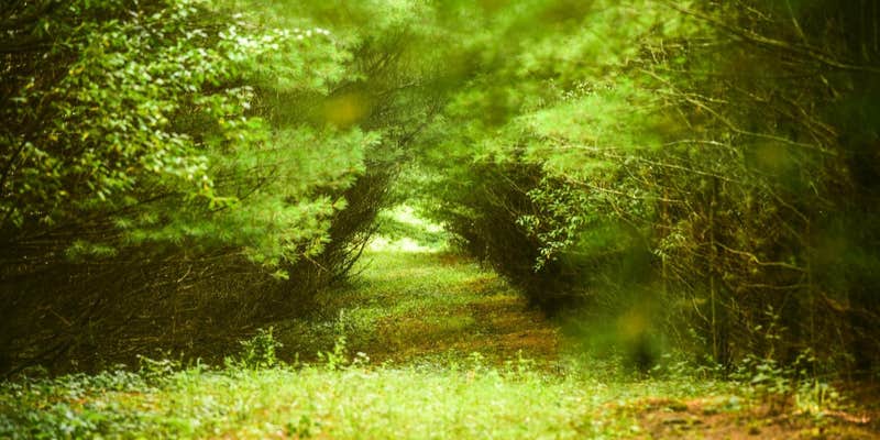 Camper submitted image from Hammock Sway