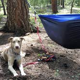 Review photo of Buffalo Campground by Hayley K., June 23, 2020