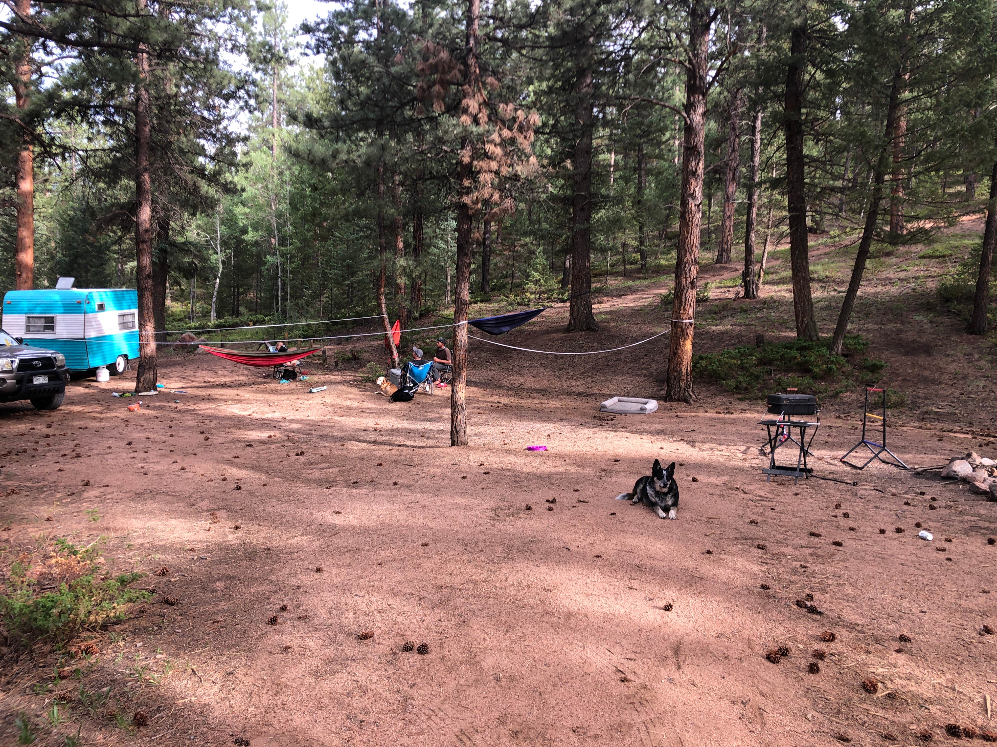 Hayley K.'s photo at Buffalo Campground near Buffalo Creek, CO