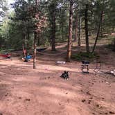 Review photo of Pike National Forest Extended Buffalo Creek Access by Hayley K., June 23, 2020