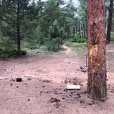 Review photo of Pike National Forest Extended Buffalo Creek Access by Hayley K., June 23, 2020