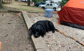 Elizabeth G.'s photo of camping with pets at Franklin D Roosevelt State Park Campground near West Point Lake