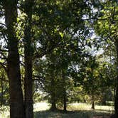 Review photo of Richard K Yancy Yakey Rd Campground by Paula W., October 30, 2017