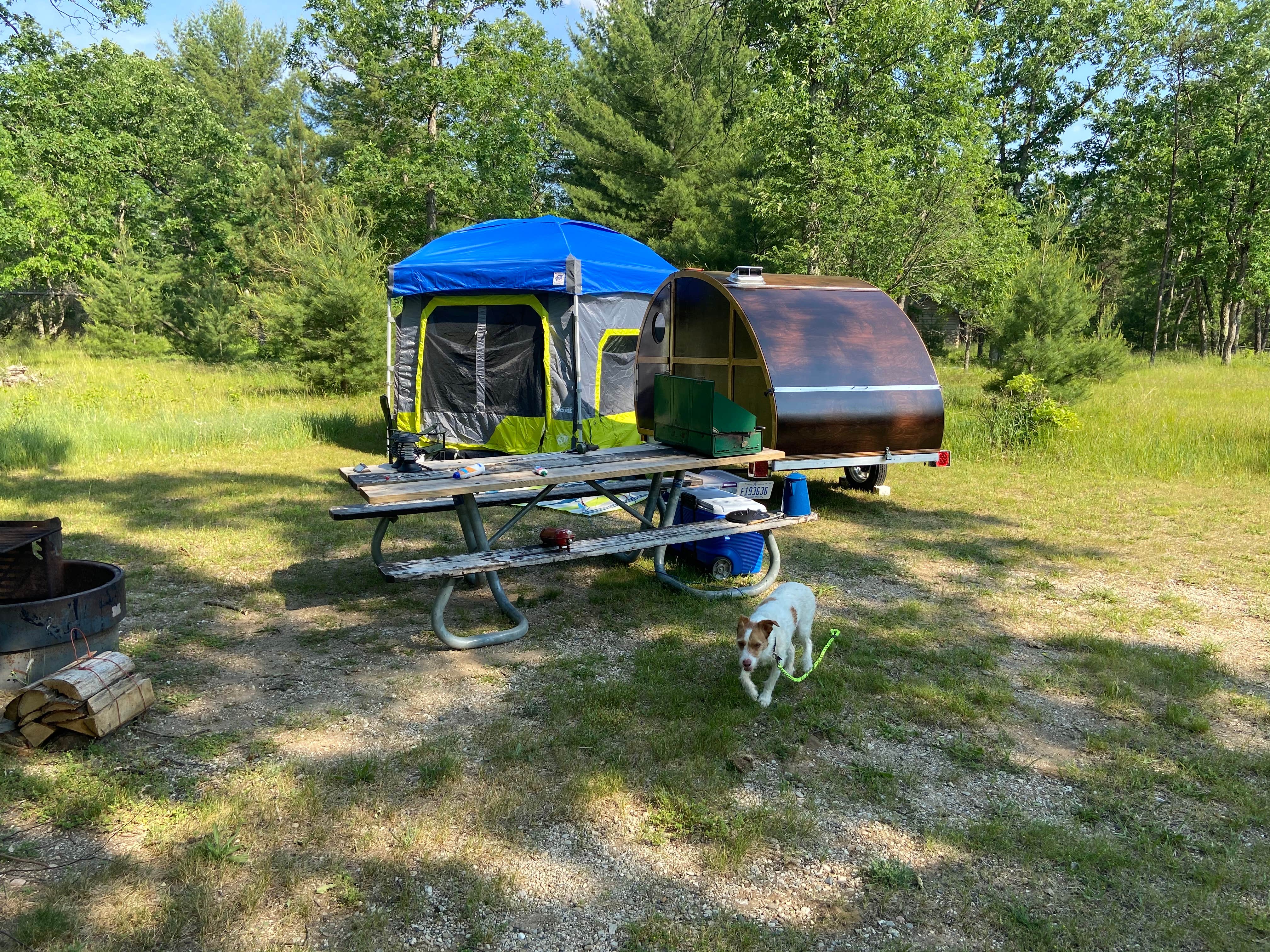 Bill W.'s photo at Bowman Bridge Campground near Bitely, MI