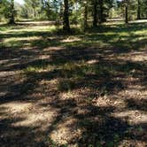 Review photo of Richard K Yancy Yakey Rd Campground by Paula W., October 30, 2017