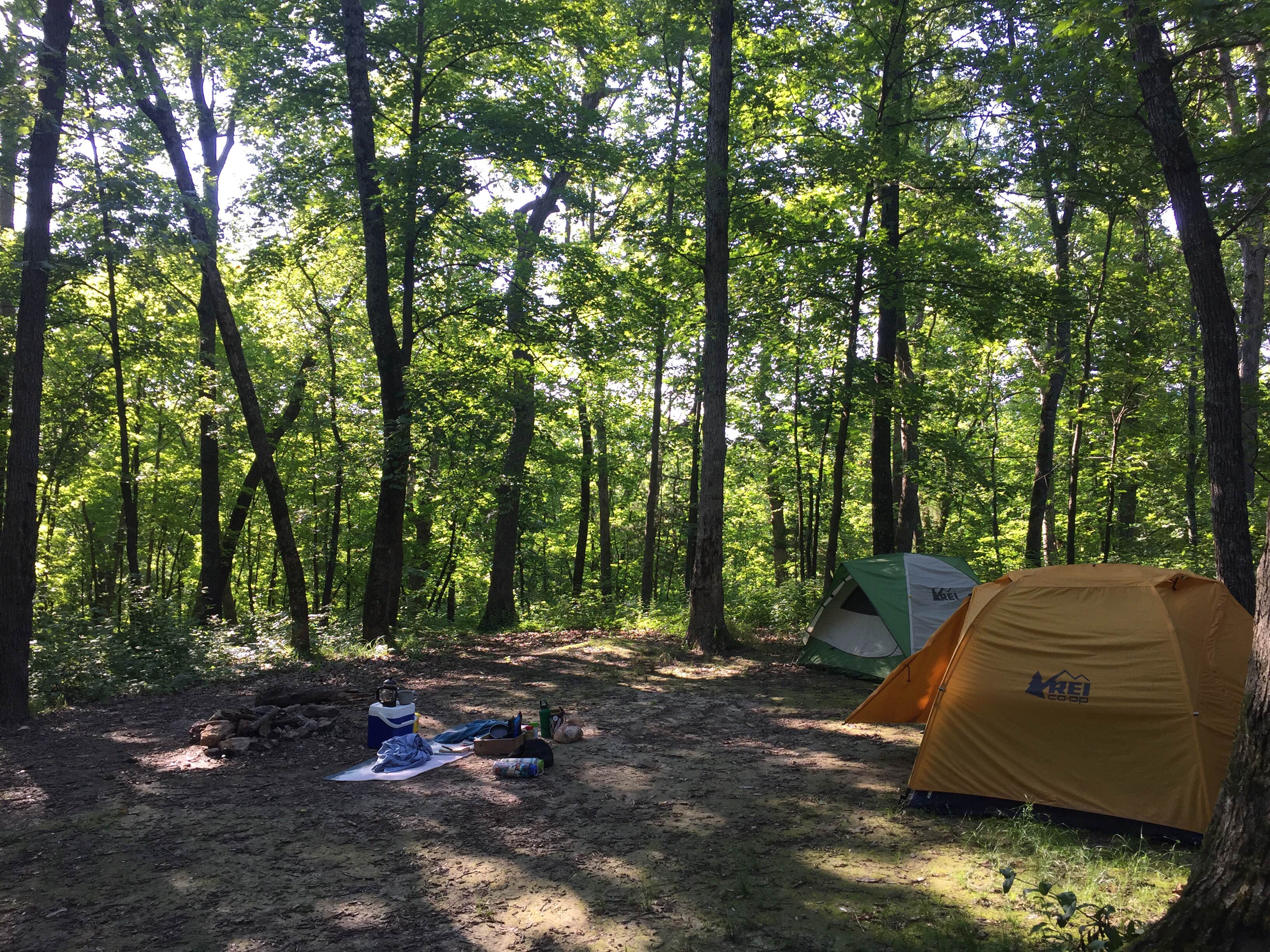 Camper submitted image from Three Creeks Conservation Area - 2