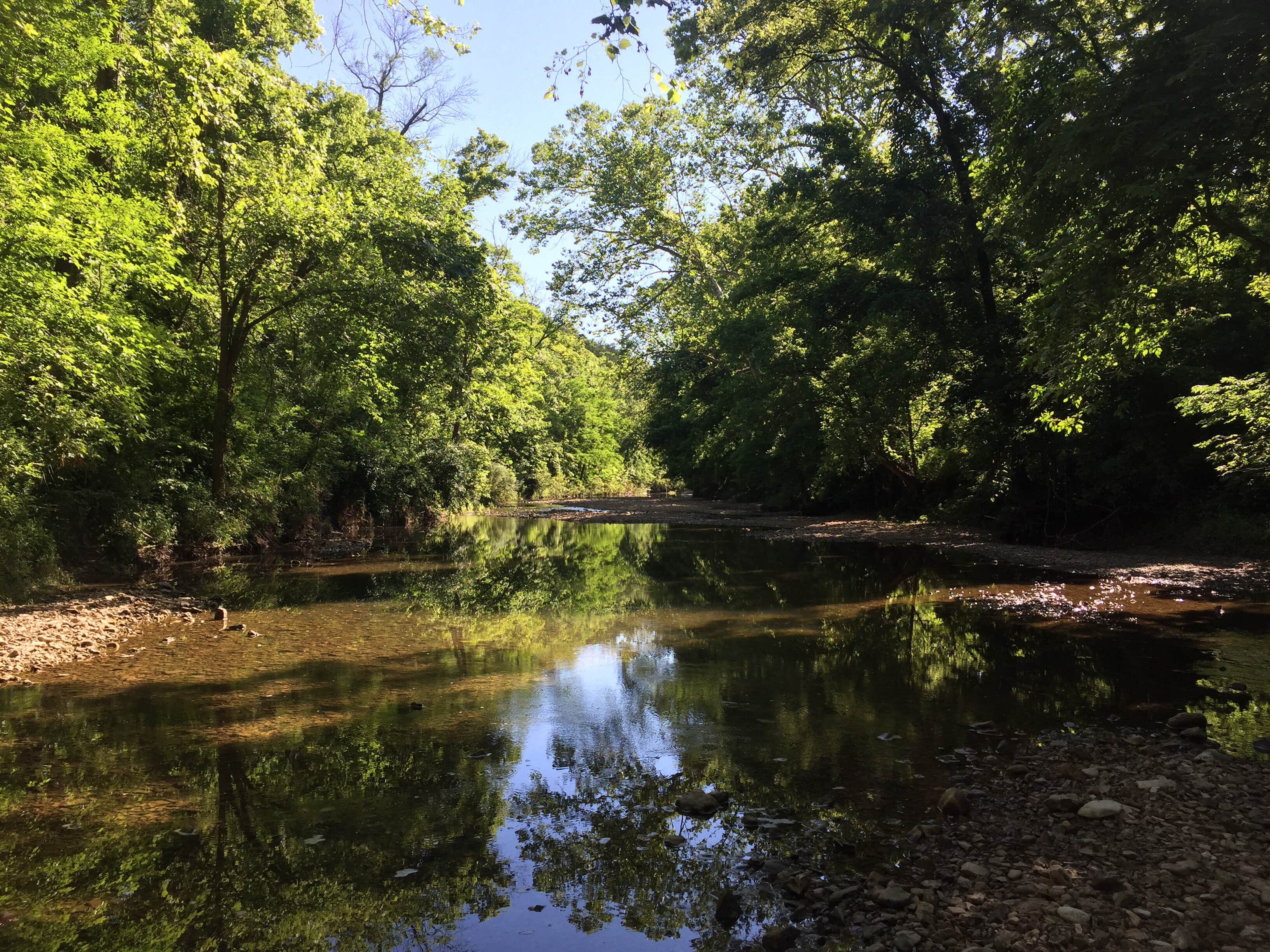 Dry Fork Recreation Area The Dyrt