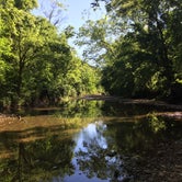 Review photo of Three Creeks Conservation Area by Ruby W., June 23, 2020