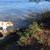 Review photo of Lake Margrethe State Forest Campground by Bill W., June 23, 2020