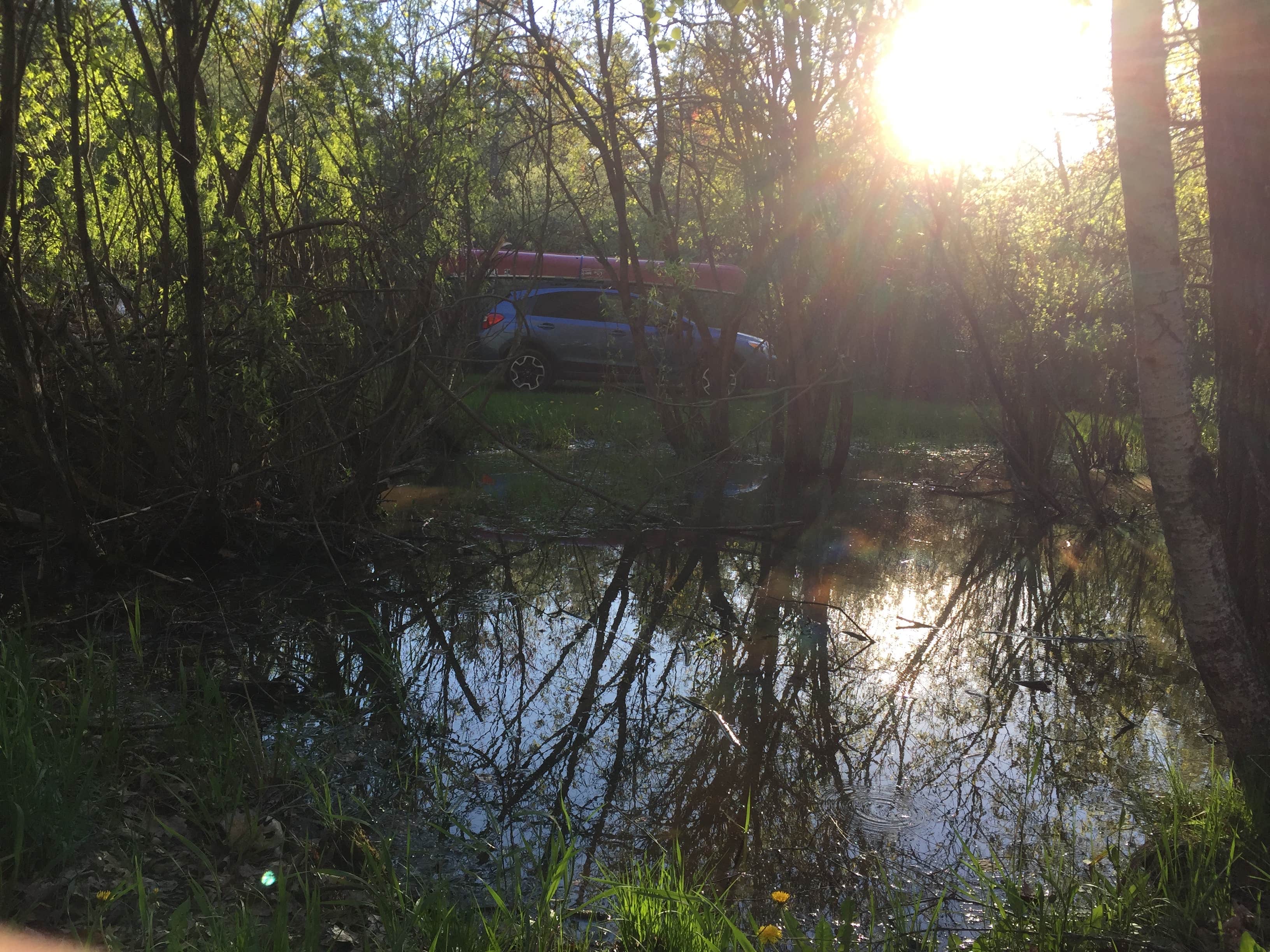 Escape to Serenity: Michigan's Lake Margethe Campground - Your Gateway to Nature's Embrace