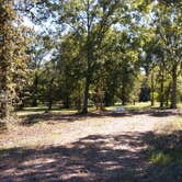 Review photo of Richard K Yancy Yakey Rd Campground by Paula W., October 30, 2017