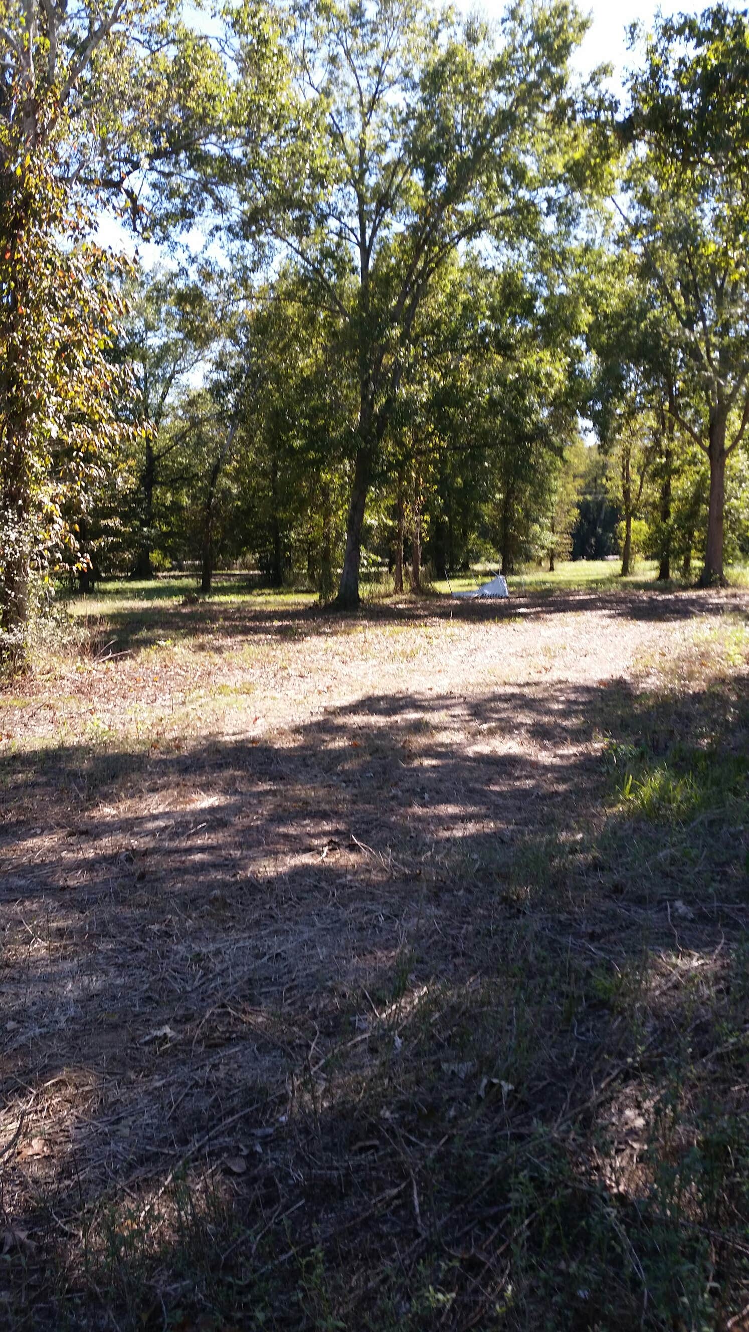 Camper submitted image from Richard K Yancy Yakey Rd Campground - 2