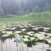 Review photo of Trillium Lake by Raphaela H., June 23, 2020