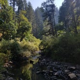 Review photo of Silver Falls State Park Campground by Raphaela H., June 23, 2020