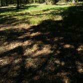 Review photo of Richard K Yancy Yakey Rd Campground by Paula W., October 30, 2017