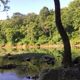 Review photo of Meramec State Park Campground by Shae E., June 23, 2020