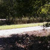 Review photo of Richard K Yancy Yakey Rd Campground by Paula W., October 30, 2017