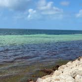 Review photo of Buttonwood Campground — Bahia Honda State Park by Denise K., June 23, 2020