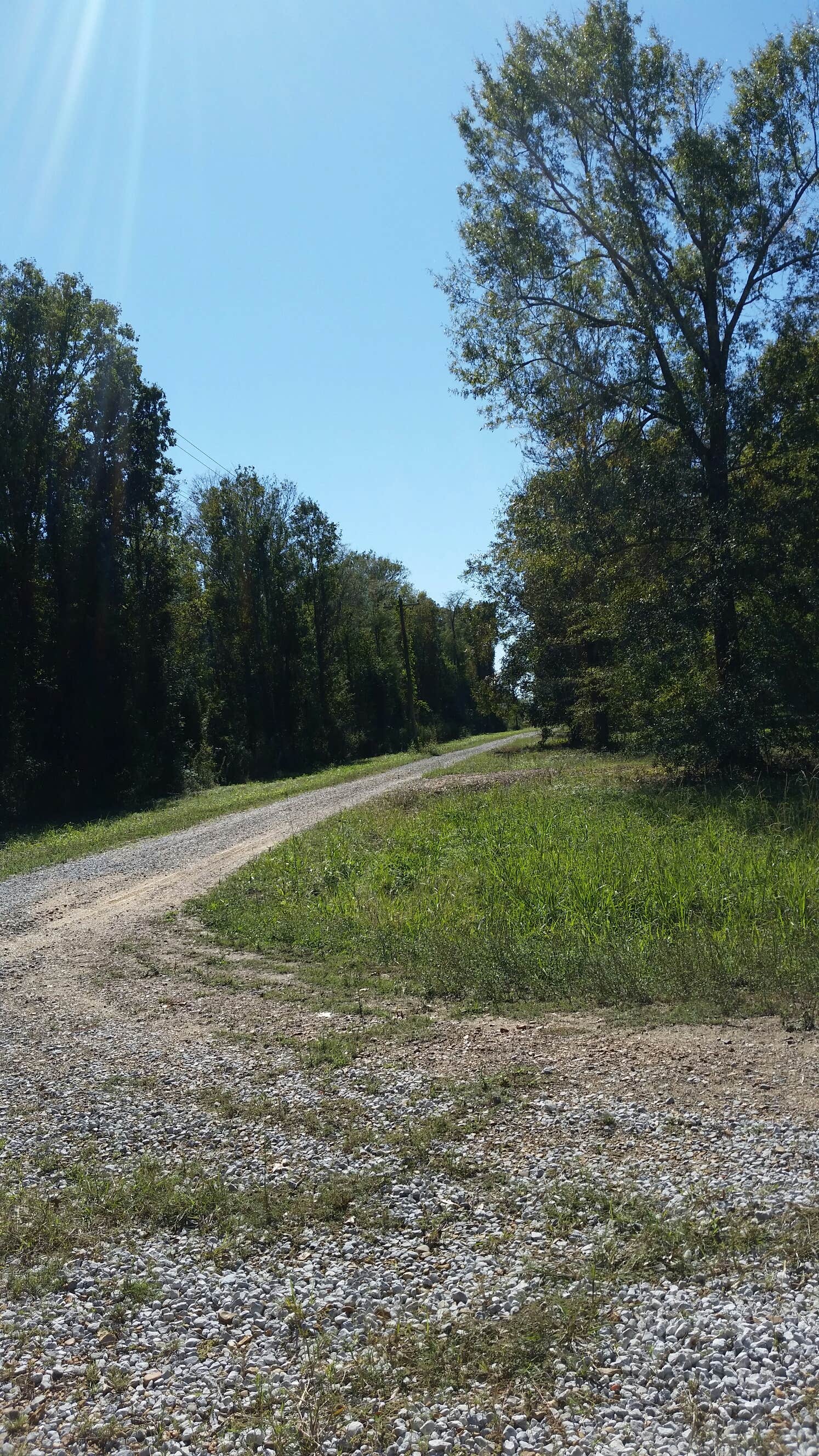 Camper-submitted photo at Richard K Yancy Yakey Rd Campground near Sicily Island, LA