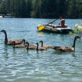 Review photo of Scotts Flat Lake by Andrea D., June 23, 2020