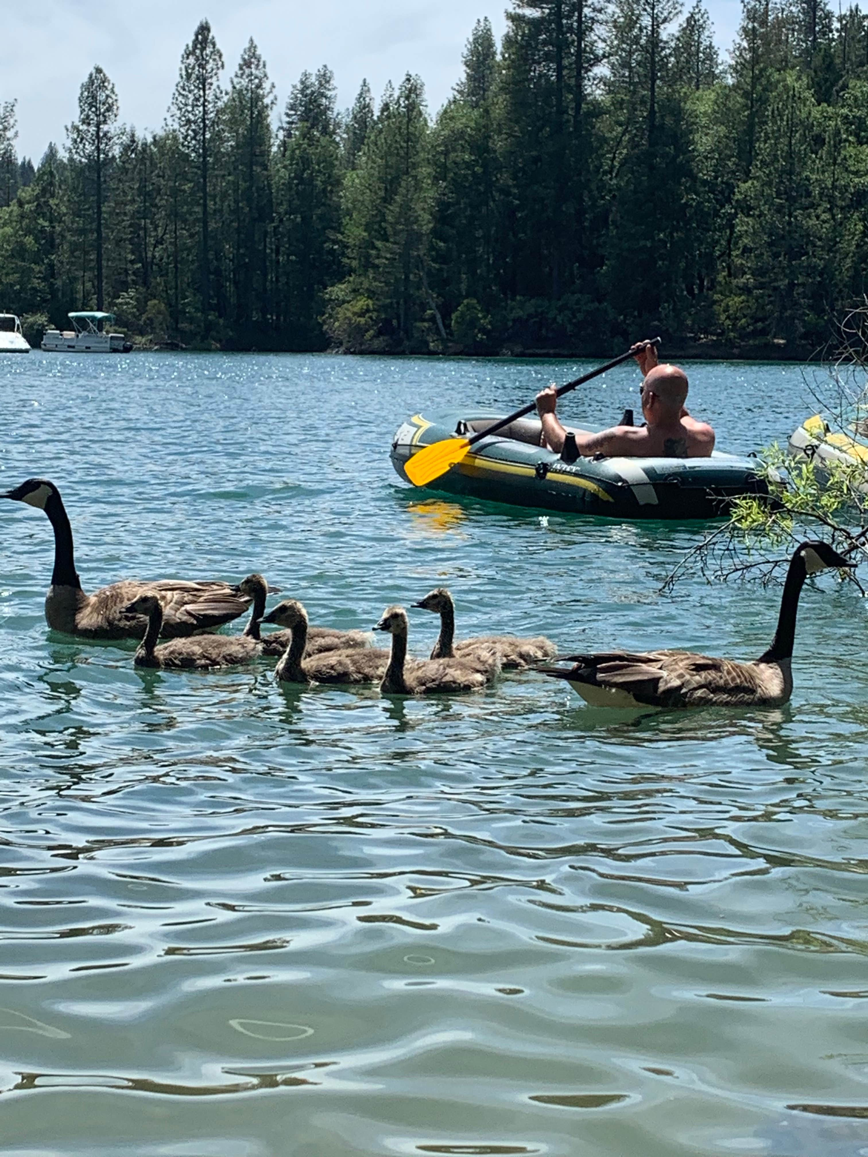 Camper submitted image from Scotts Flat Lake - 5