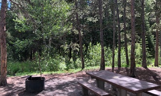 Custer National Forest Parkside Campground