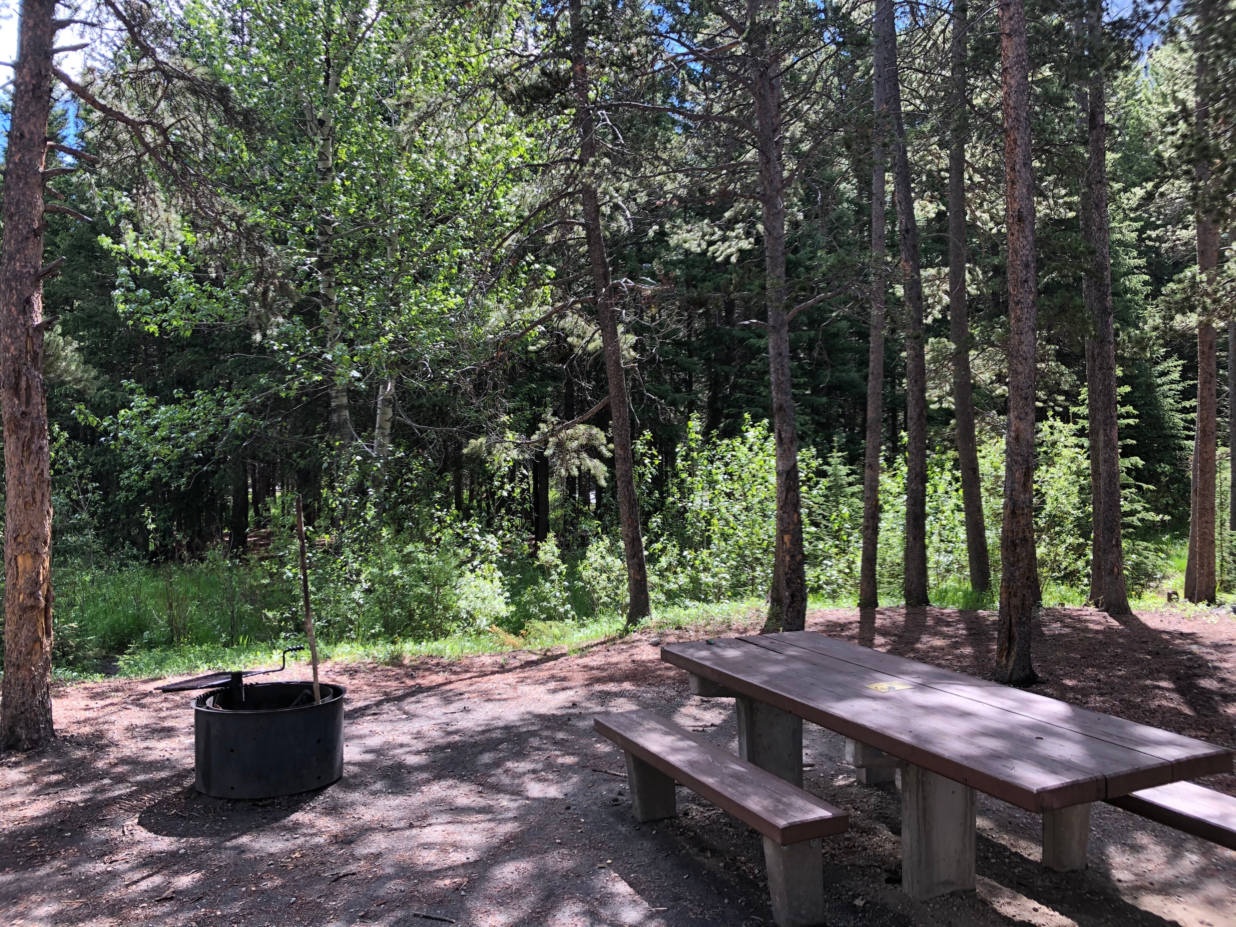 Camper submitted image from Custer National Forest Parkside Campground - 2