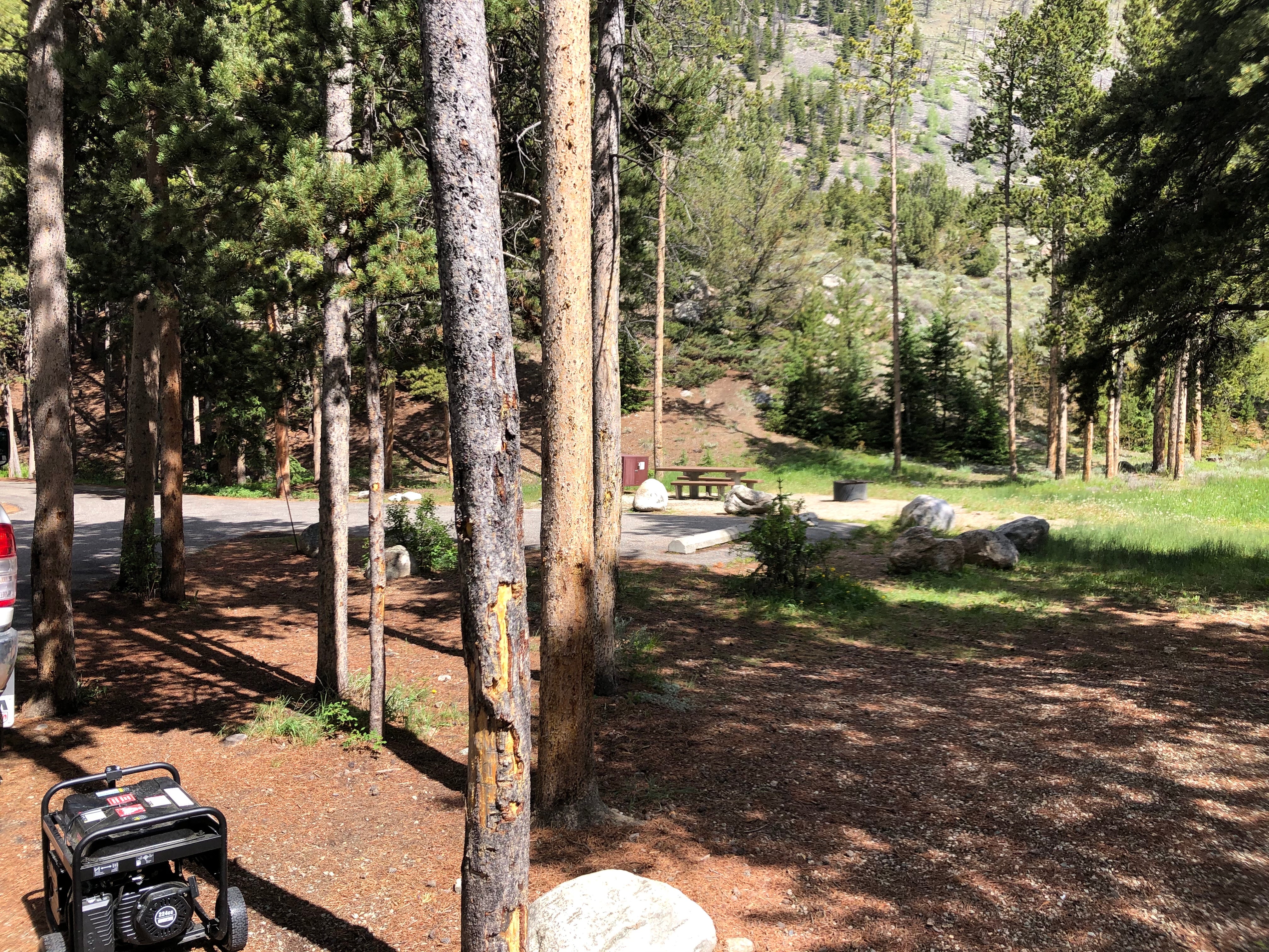 Camper submitted image from Custer National Forest Parkside Campground - 1